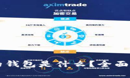 区块链交易所的钱包是什么?全面解析和使用指南