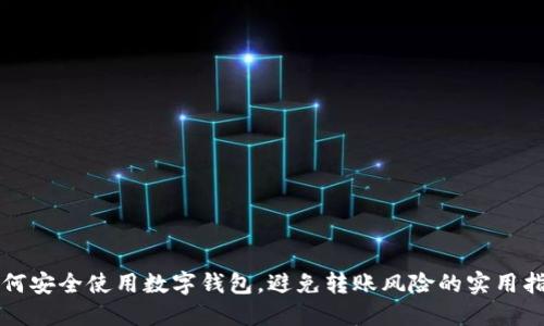 如何安全使用数字钱包，避免转账风险的实用指南
