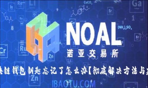 区块链钱包钥匙忘记了怎么办？彻底解决方法与建议