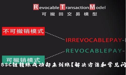 TP钱包BSC链转账成功却未到账?解决方法和常见问题解析