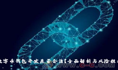 数字币钱包开发是否合法？全面解析与风险提示