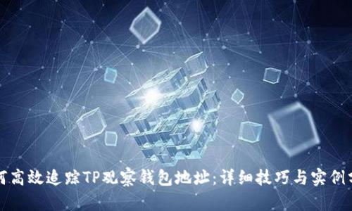 如何高效追踪TP观察钱包地址：详细技巧与实例分析