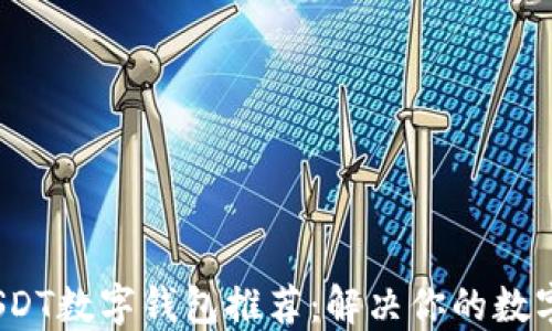 
2023年最佳USDT数字钱包推荐：解决你的数字资产管理难题