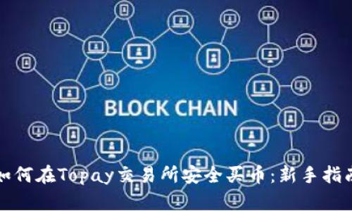 如何在Topay交易所安全买币：新手指南