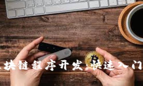 掌握区块链程序开发：快速入门全指南