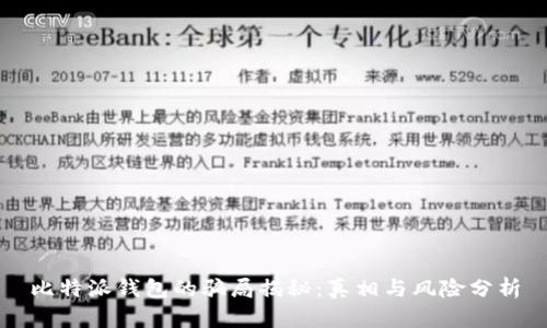 比特派钱包的骗局揭秘：真相与风险分析