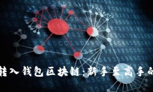 如何轻松转入钱包区块链：新手至高手的完整指南