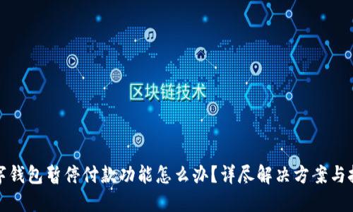 数字钱包暂停付款功能怎么办？详尽解决方案与技巧