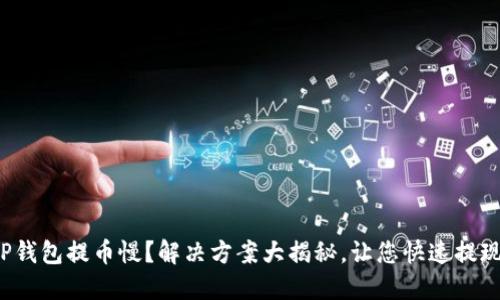 TP钱包提币慢？解决方案大揭秘，让您快速提现！