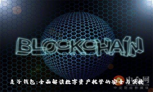 麦子钱包：全面解读数字资产托管的安全与便捷