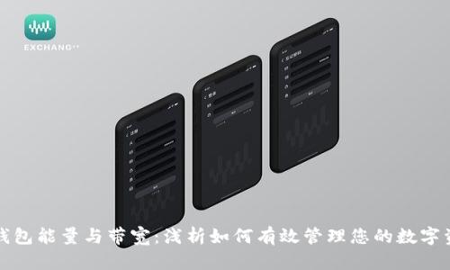 TP钱包能量与带宽：浅析如何有效管理您的数字资产